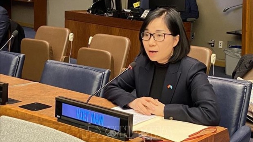 Vietnam commits to advancing women’s progress: ambassador